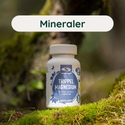 Mineraler